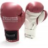 Boxerské rukavice Evolution BASIC PVC 12 oz