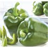 Paprika Beluga green F1 - Capsicum annuum - semená papriky - 5 ks