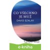 E-kniha Co všechno je muž - David Szalay