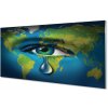 Obraz plexi Pre oka slza 100x50 cm