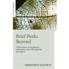 Brief Peeks Beyond - Critical essays on metaphysics, neuroscience, free will, skepticism and culture