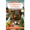 15 Minutes of Flame