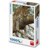 Dino Leopard škvrnitý 1000