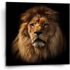 Sablio Obraz Lev - 50x50 cm