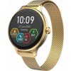 CARNEO Hero mini HR+/Gold/Elegant Band/Gold