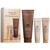 Innersense Radiant Skin Ceremony