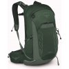 Osprey Talon 22l green canopy