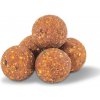 Boilies Anaconda AI Carp R2 Bird Food Mix Cream - Tigernut 1kg - 24 mm