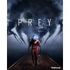 ESD Prey, 3606