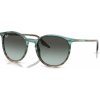 Ray-Ban RB2204 1394GK - (54-20-145)