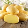 Sadbové zemiaky Bernina - Solanum tuberosum - zemiaky - 10 ks