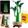 LEGO® Botanicals 10344 Bambus šťastia