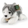 Rappa Plyšový pes husky ležiaci 20 cm ECO-FRIENDLY