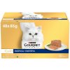 Gourmet Gold paštéty kura morka králik tuniak 48 x 85 g