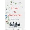 Cesta za domovem