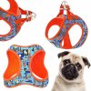 Truelove Mini Firecracker postroj