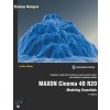 MAXON Cinema 4D R20