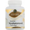 Golden Nature Kyselina Hyaluronová + Rybí Kolagén + Vit. C 100 ks