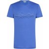 Icebreaker Mens Merino 150 Tech Lite SS Tee Icebreaker, Brilliant 0A572J01U pánské tričko XL