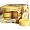 Parafínová vonná sviečka Tropical Starfruit Yankee Candle 12 ks