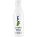 Matrix Biolage ScalpSync Anti Dandruff Shampoo 250 ml