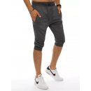 Dstreet Dark gray Men's shorts SX1533 šedá