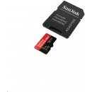 SanDisk microSDXC UHS-I U3 1 TB SDSQXCZ-1T00-GN6MA