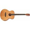 Tanglewood TUN 3