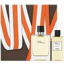 Hermes Terre D´Hermés voda po holení 100 ml