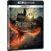 Fantastická zvířata: Brumbálova tajemství Ultra HD Blu-ray UltraHDBlu-ray