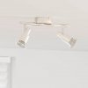 2-smerný nastaviteľný stropný reflektor s brúseným niklom GU10
