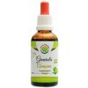 Salvia Paradise Graviola Annona bylinné kvapky tinktúra bez alkoholu 50 ml