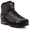 Salewa Ms Crow GTX hnedé