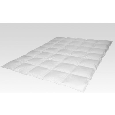 Termop paplón Luxus zimný perie/páper 160x200