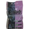 Caliopsis jemné ultraabsorbent 5 l