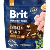 Brit Premium by Nature Senior Small a Medium 1 kg