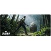 DayZ Livonia Mousemat Big 800 × 340 mm