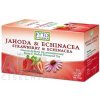 Fytopharma Ovocno bylinný čaj Jahoda + Echinacea 20 x 2 g