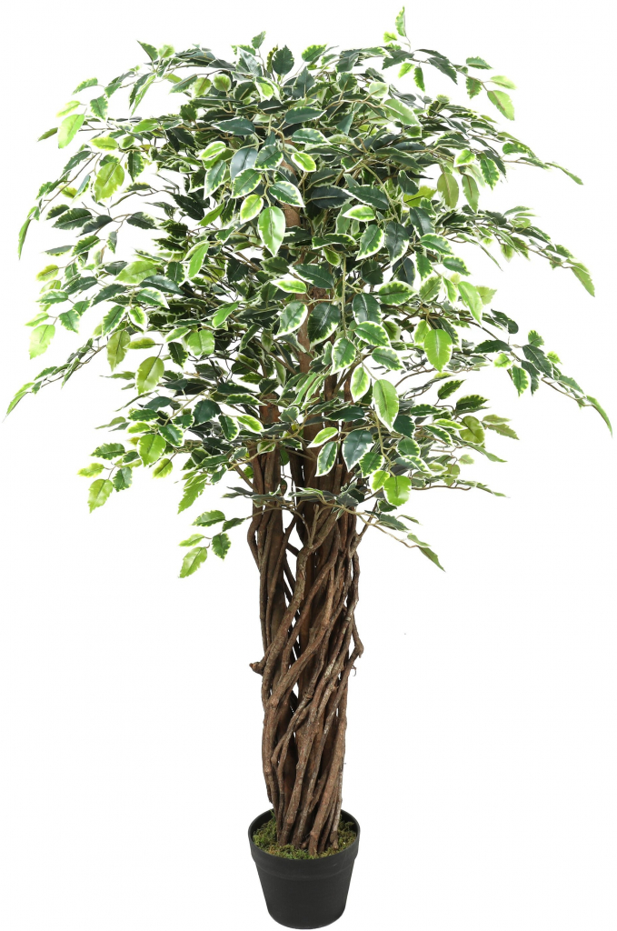 Umelý strom Fikus 150 cm