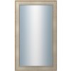 DANTIK - Zrkadlo v rámu, rozmer s rámom 60x100 cm z lišty TOOTH strieborná (2779)