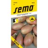 Semo Cibuľa jarná - Elista žltá, šalátová 1,5g
