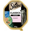 SHEBA Classics zásobník 85 g - vlhké kompletné krmivo pre dospelé mačky, s lososom, v terine