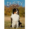 Dusty: Vráť sa domov - Jan Andersen