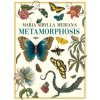 Maria Sibylla Merian's Metamorphosis