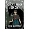 The Salamander Stone - Heidi Nickerson