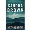Rozhodnutie - Sandra Brown
