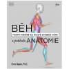 Běh z pohledu anatomie - Správná technika, prevence před zraněním, nastavení tréninku (Chris Napier)
