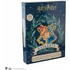 Harry Potter Advent Calendar Hogwarts Wizarding World 2022