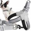 Silné, netlačiace postroje s vodítkom pre malého psa alebo mačku, odolné, veľkosť M