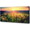 Foto obraz na plátne Les západ slnka 100x50 cm